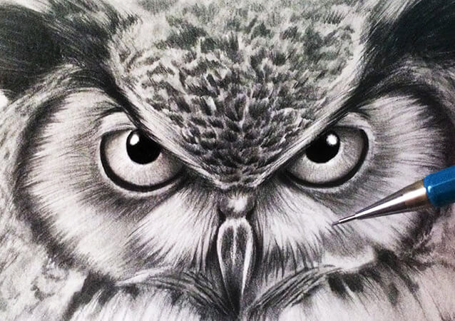 Small Owl Realistic Drawing-original Pencil - Etsy Finland