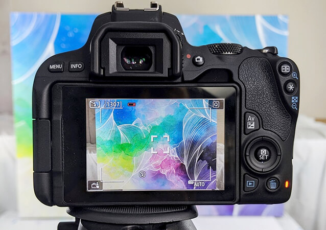 How to Photograph Artwork